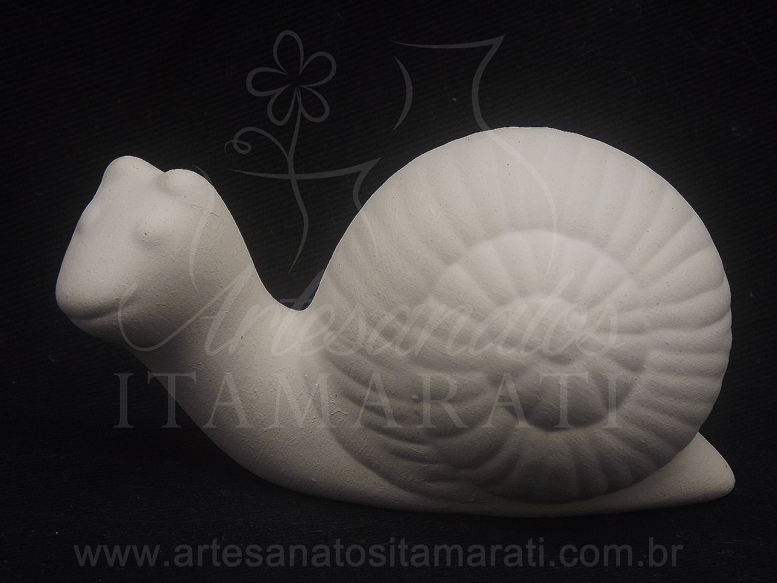 Caracol Mini